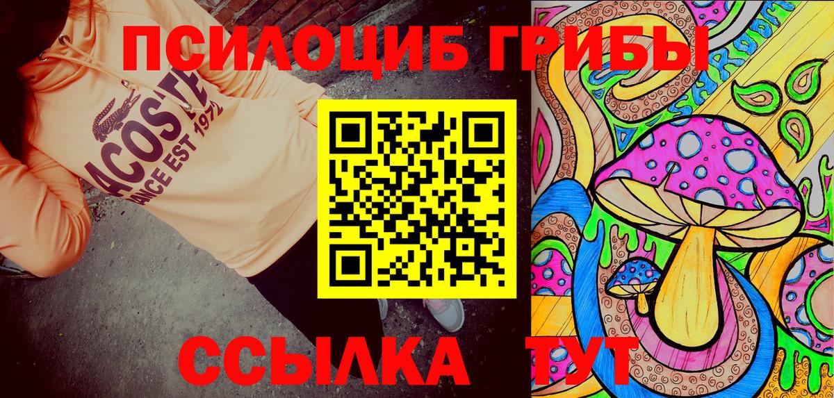 Галлюциногенные грибы MAGIC MUSHROOMS Будённовск