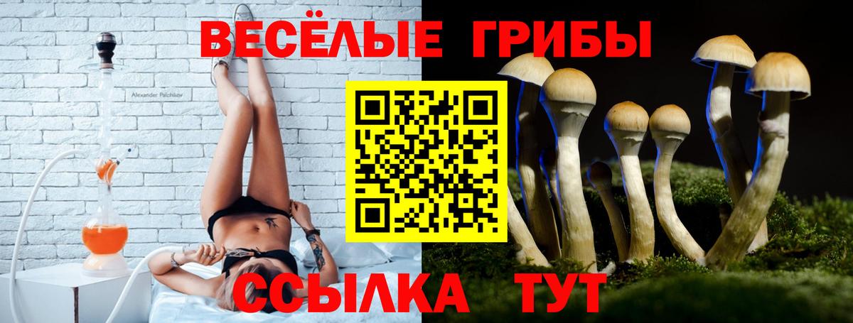 Будённовск  сколько стоит  Вход с VPN  Псилоцибиновые грибы мицелий 